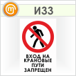 Знак «Вход на крановые пути запрещен», И33 (пленка, 400х600 мм)
